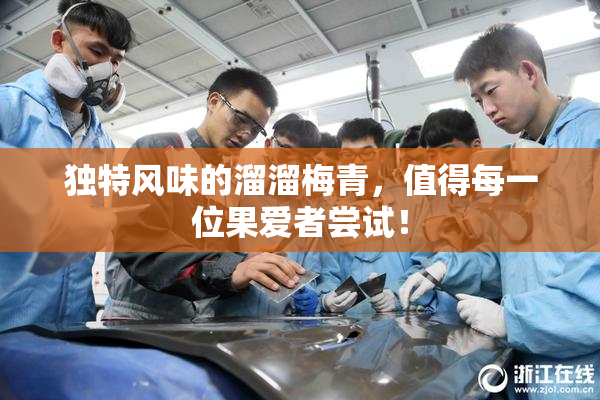 独特风味的溜溜梅青，值得每一位果爱者尝试！