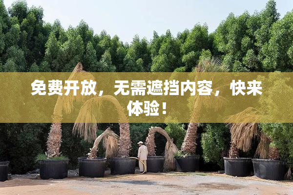 免费开放，无需遮挡内容，快来体验！
