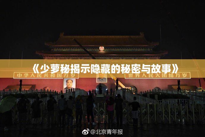 《少萝秘揭示隐藏的秘密与故事》