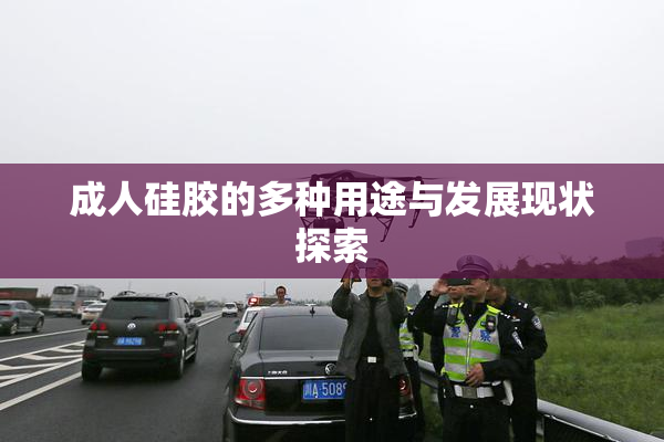 成人硅胶的多种用途与发展现状探索