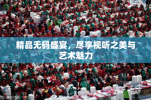 精品无码盛宴，尽享视听之美与艺术魅力