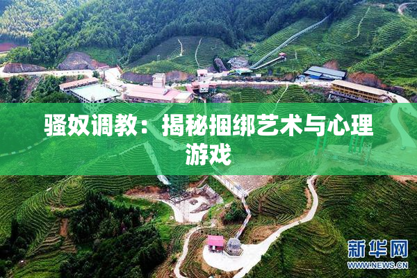 骚奴调教：揭秘捆绑艺术与心理游戏