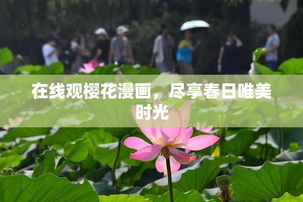 在线观樱花漫画，尽享春日唯美时光