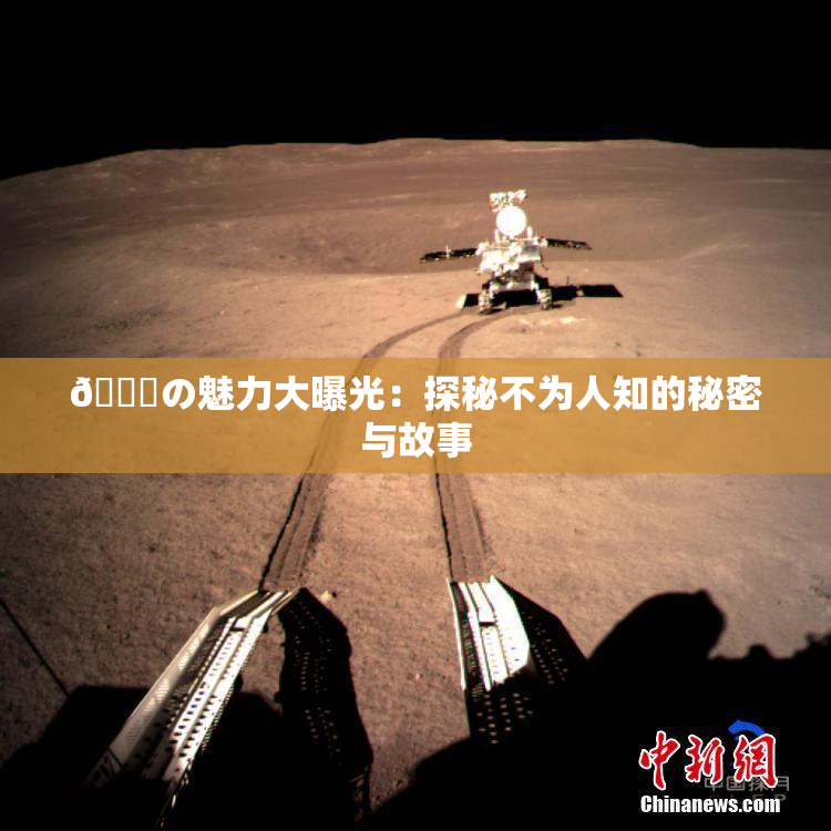 🍆の魅力大曝光：探秘不为人知的秘密与故事