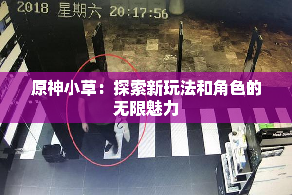 原神小草：探索新玩法和角色的无限魅力