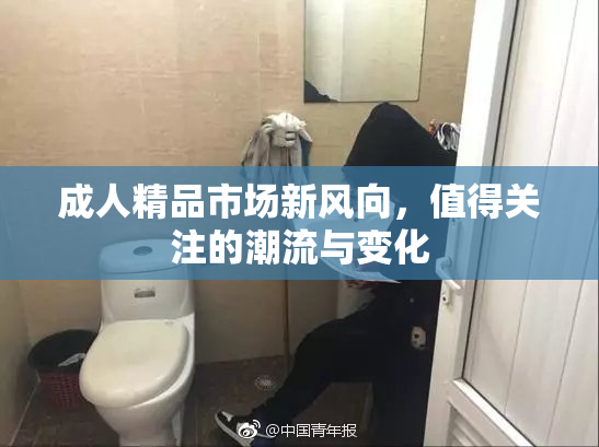 成人精品市场新风向，值得关注的潮流与变化