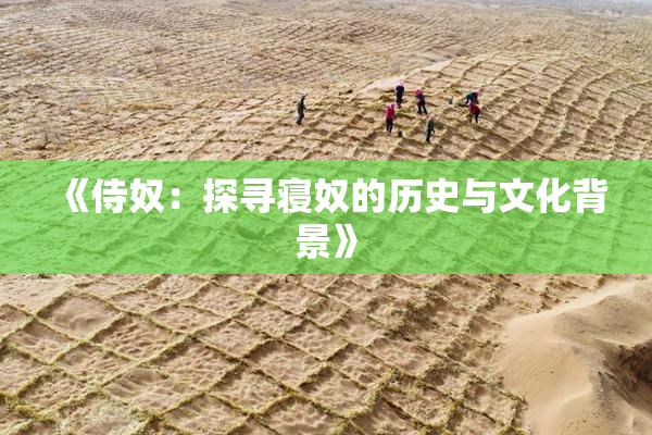 《侍奴：探寻寝奴的历史与文化背景》