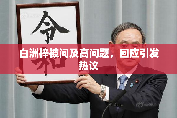 白洲梓被问及高问题，回应引发热议