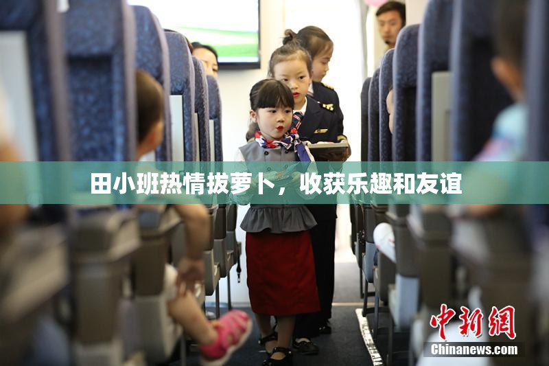 田小班热情拔萝卜，收获乐趣和友谊