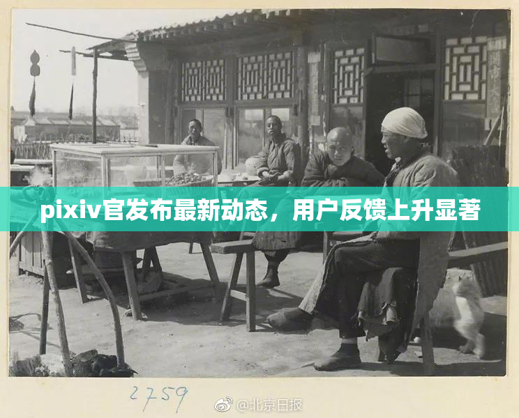 pixiv官发布最新动态，用户反馈上升显著