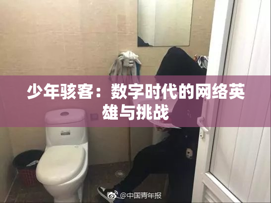 少年骇客：数字时代的网络英雄与挑战
