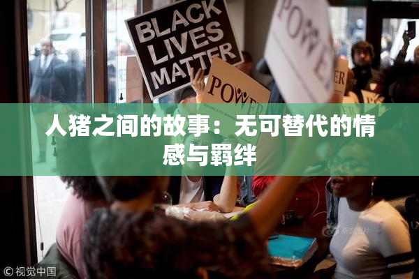 人猪之间的故事：无可替代的情感与羁绊