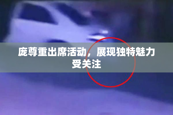 庞尊重出席活动，展现独特魅力受关注