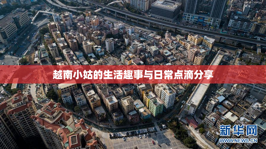 越南小姑的生活趣事与日常点滴分享