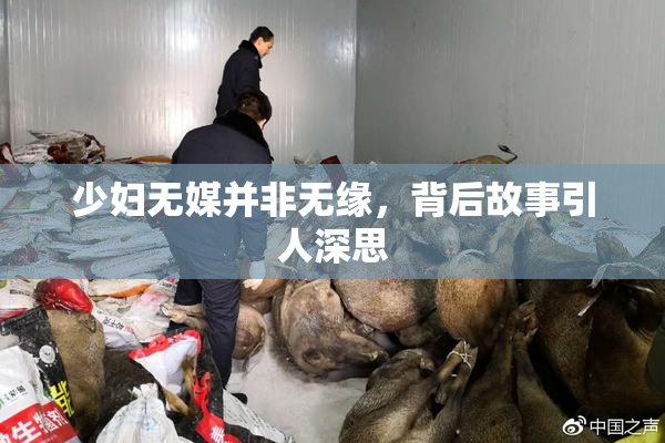 少妇无媒并非无缘，背后故事引人深思