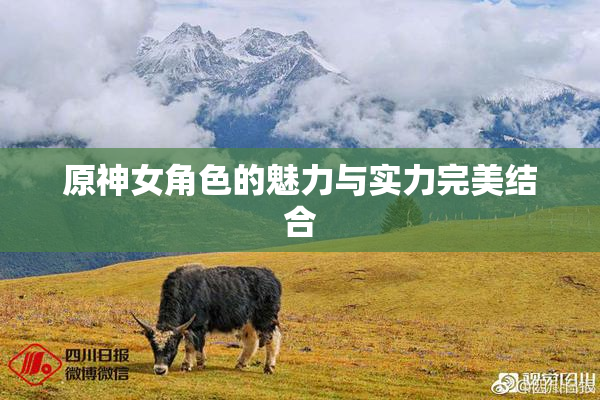 原神女角色的魅力与实力完美结合