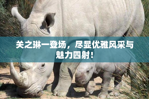 关之琳一登场，尽显优雅风采与魅力四射！