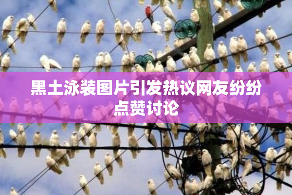 黑土泳装图片引发热议网友纷纷点赞讨论