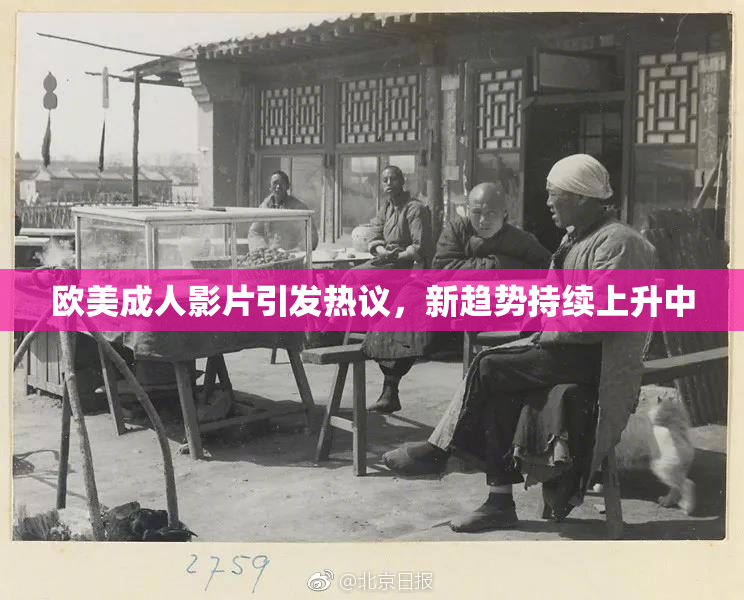 欧美成人影片引发热议，新趋势持续上升中