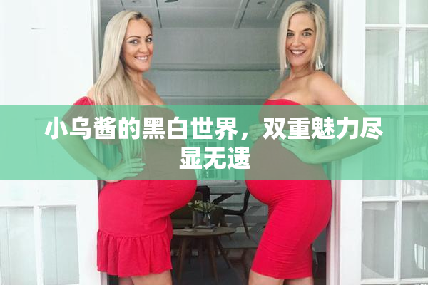 小乌酱的黑白世界，双重魅力尽显无遗
