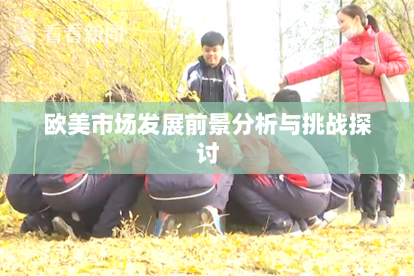 欧美市场发展前景分析与挑战探讨