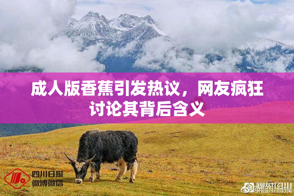 成人版香蕉引发热议，网友疯狂讨论其背后含义