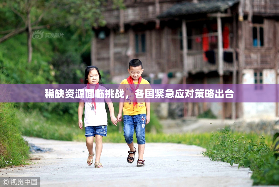 稀缺资源面临挑战，各国紧急应对策略出台