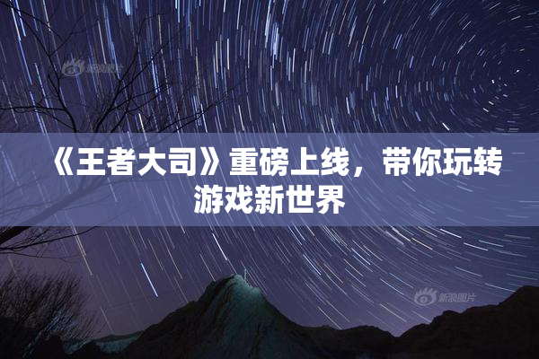 《王者大司》重磅上线，带你玩转游戏新世界