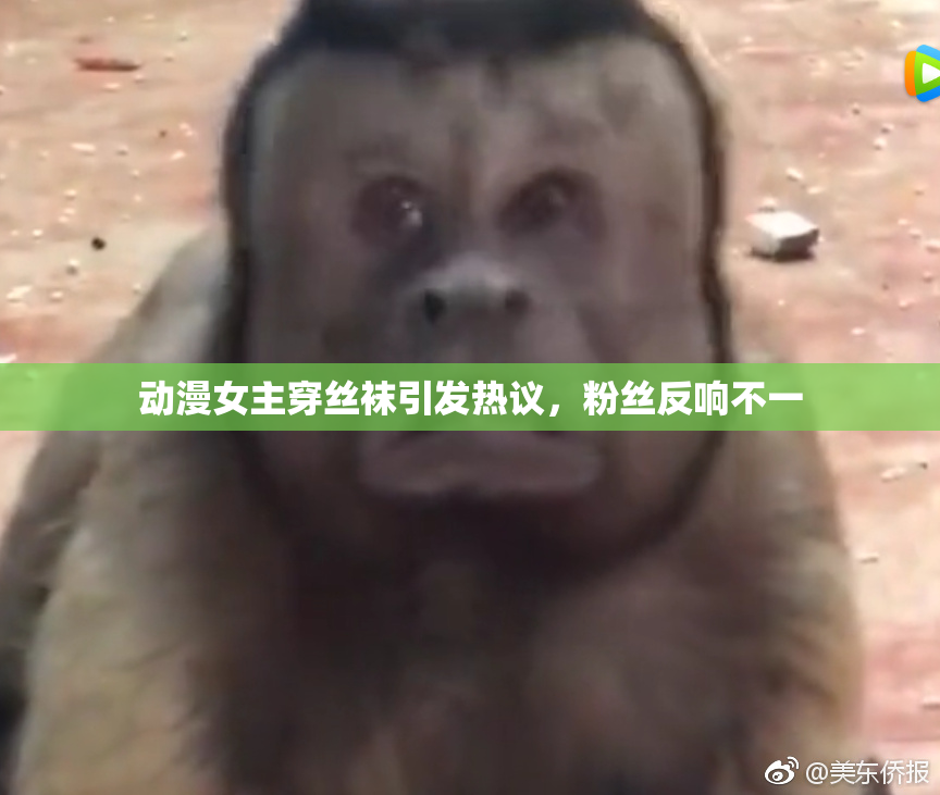 动漫女主穿丝袜引发热议，粉丝反响不一