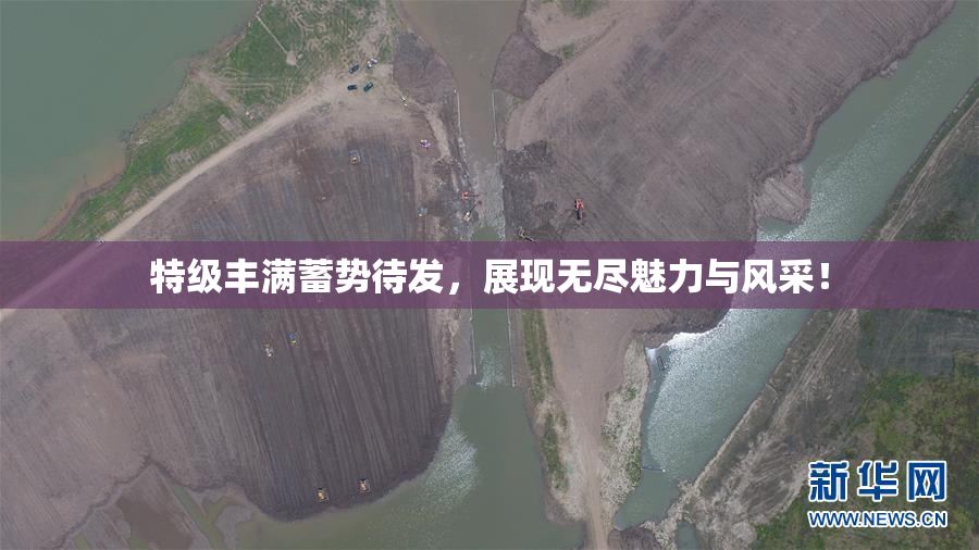 特级丰满蓄势待发，展现无尽魅力与风采！