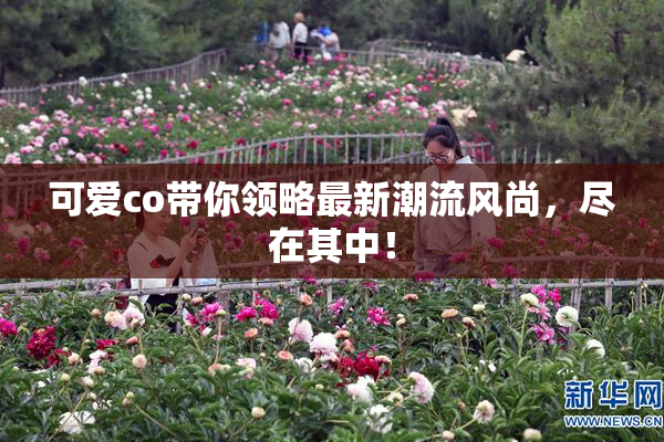 可爱co带你领略最新潮流风尚，尽在其中！