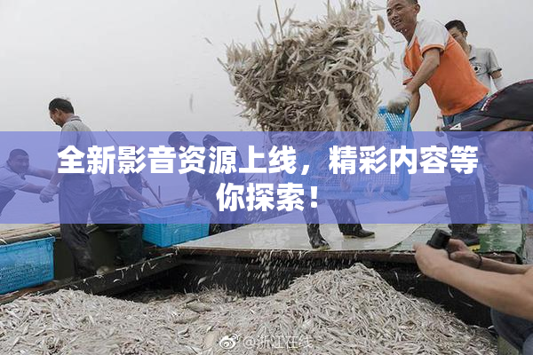 全新影音资源上线，精彩内容等你探索！