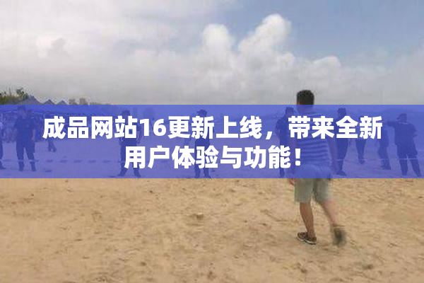 成品网站16更新上线，带来全新用户体验与功能！