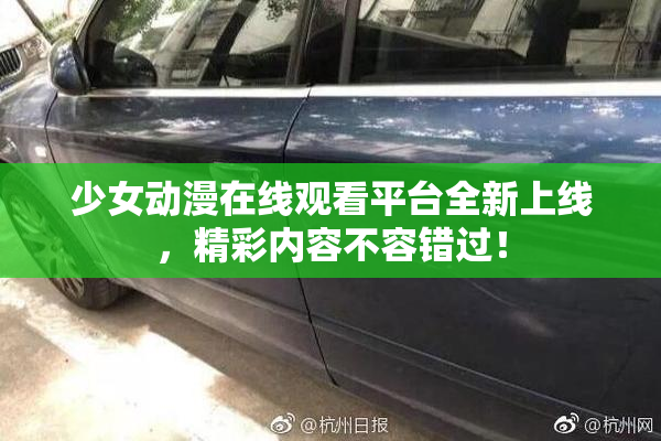 少女动漫在线观看平台全新上线，精彩内容不容错过！