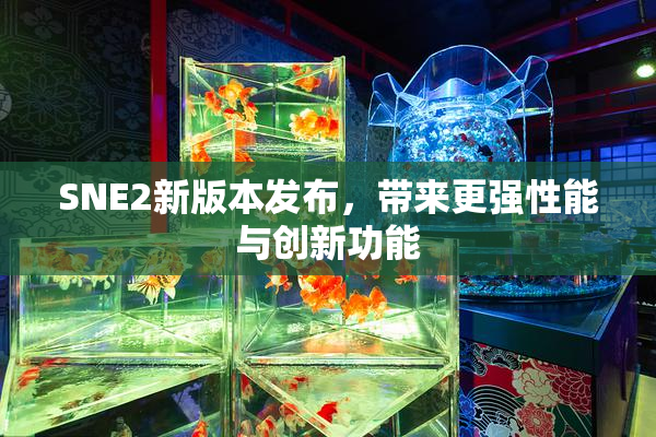 SNE2新版本发布，带来更强性能与创新功能