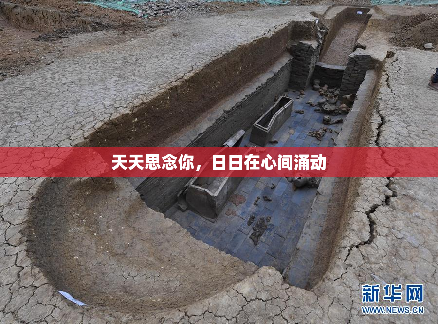 天天思念你，日日在心间涌动
