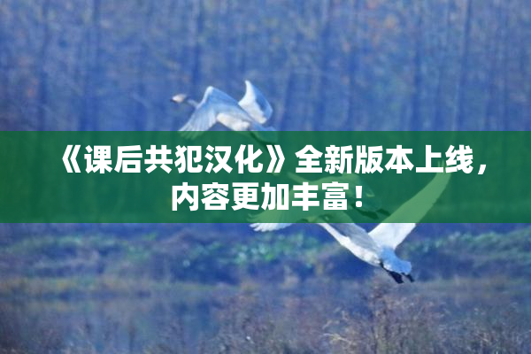 《课后共犯汉化》全新版本上线，内容更加丰富！