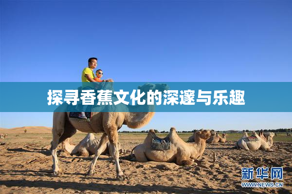 探寻香蕉文化的深邃与乐趣