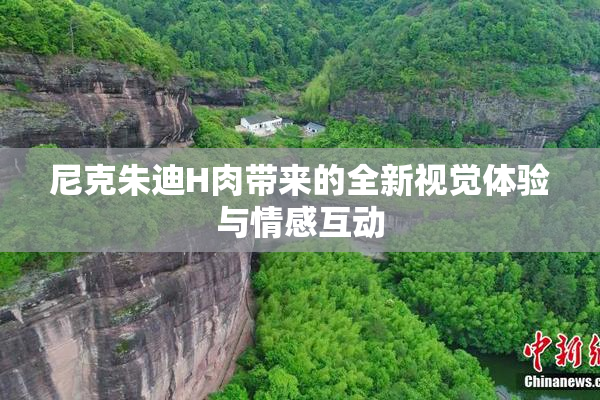 尼克朱迪H肉带来的全新视觉体验与情感互动