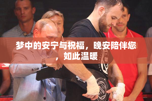 梦中的安宁与祝福，晚安陪伴您，如此温暖