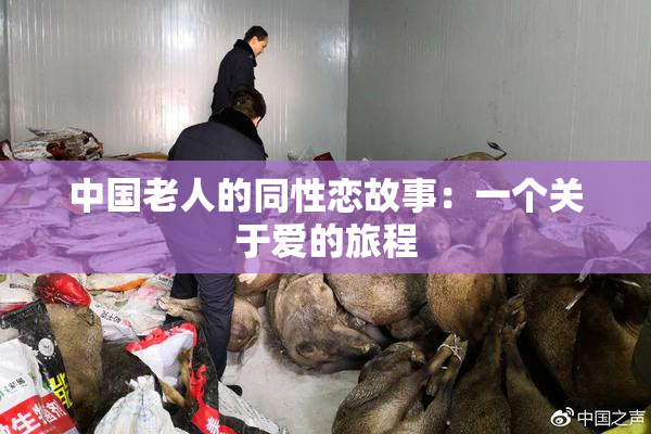 中国老人的同性恋故事：一个关于爱的旅程