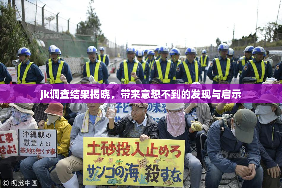 jk调查结果揭晓，带来意想不到的发现与启示