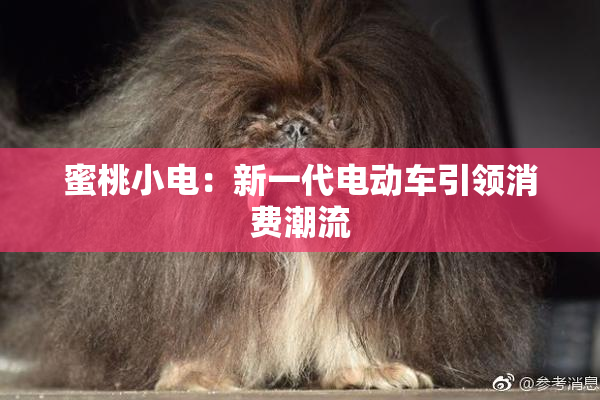 蜜桃小电：新一代电动车引领消费潮流