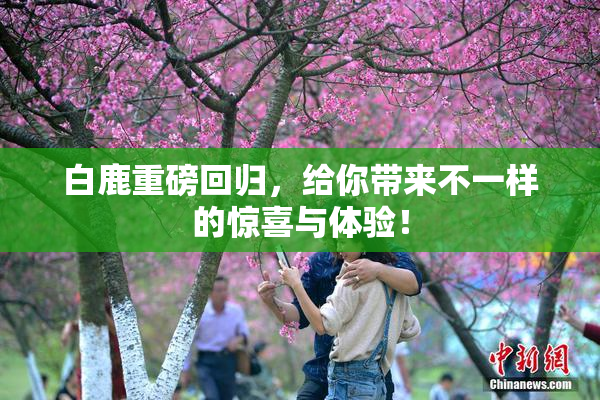 白鹿重磅回归，给你带来不一样的惊喜与体验！