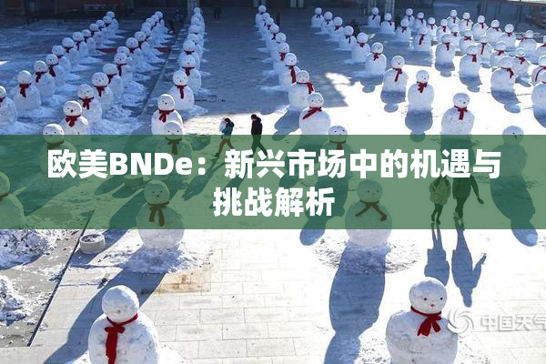 欧美BNDe：新兴市场中的机遇与挑战解析