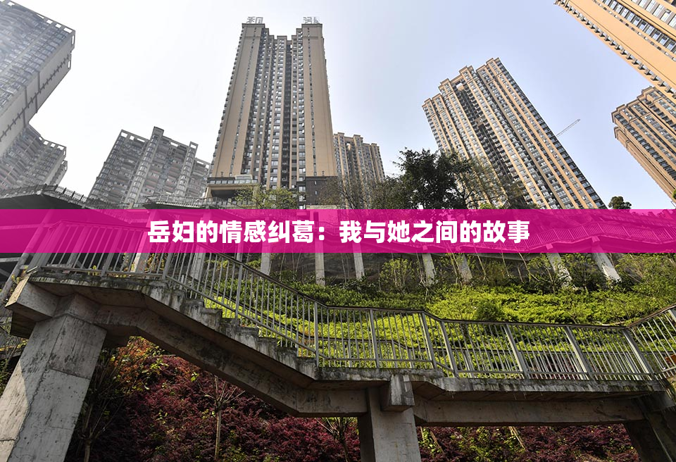岳妇的情感纠葛：我与她之间的故事