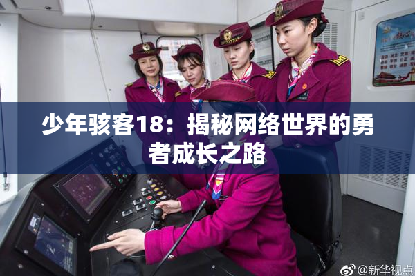 少年骇客18：揭秘网络世界的勇者成长之路