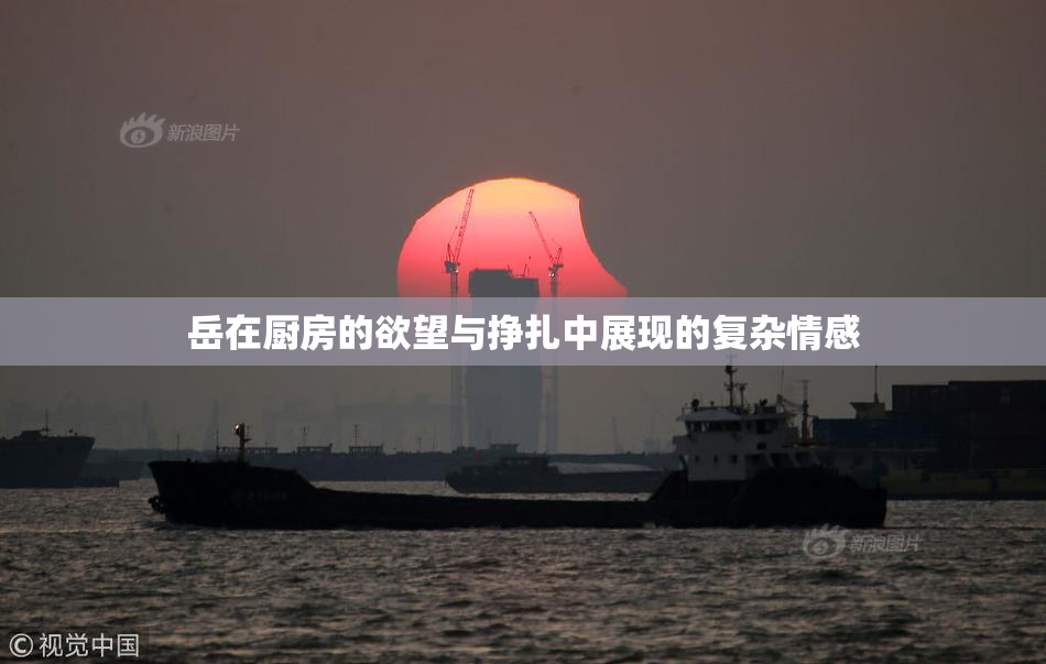 岳在厨房的欲望与挣扎中展现的复杂情感