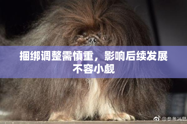 捆绑调整需慎重，影响后续发展不容小觑