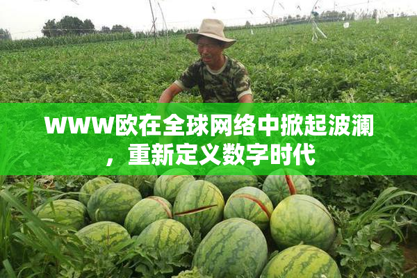 WWW欧在全球网络中掀起波澜，重新定义数字时代